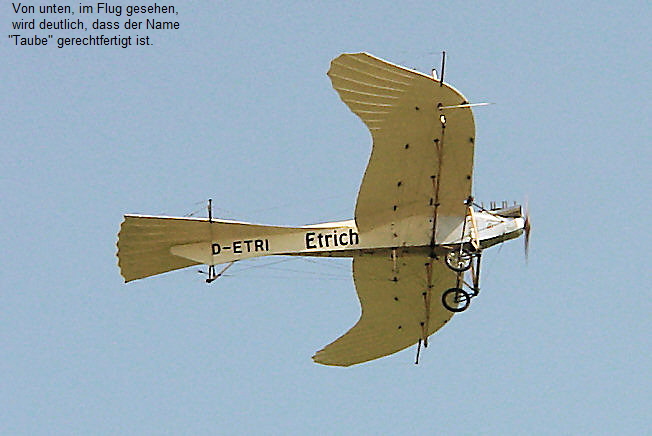 Etrich-Taube - Flug des historischen Fluggerätes