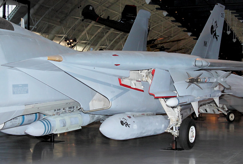 Grumman F-14D Tomcat: überschallschneller Kampfjet mit Schwenkflügeln