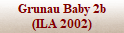 Grunau Baby II