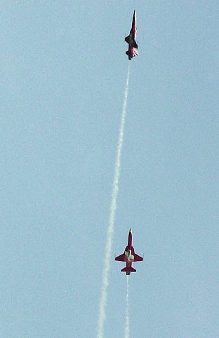 F-5E Tiger II ( Northrop)