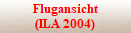 Flugansicht
(ILA 2004)