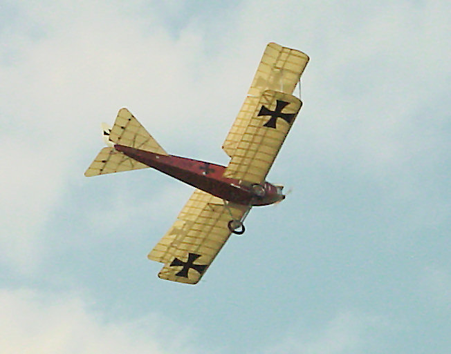 Albatros