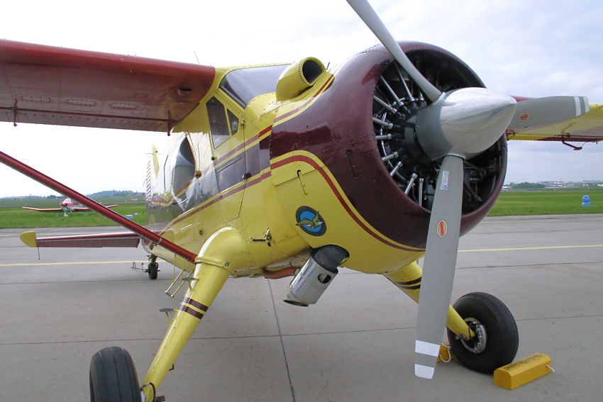 Beaver DHC-2 - Motor
