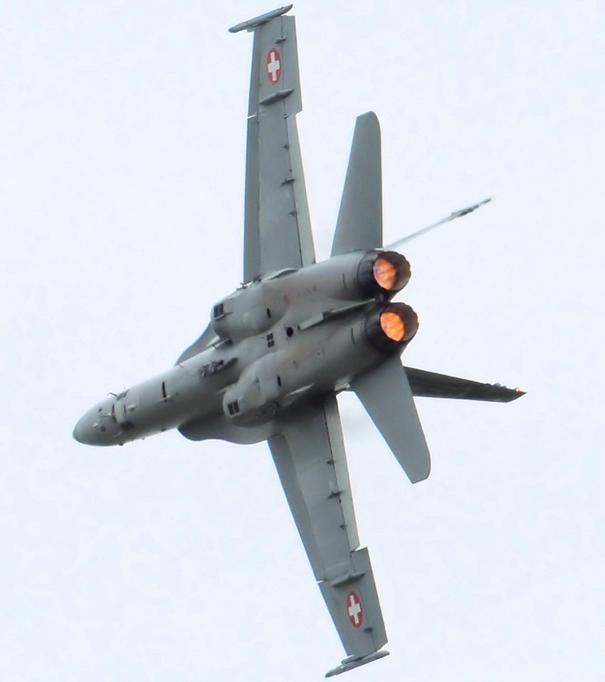 McDonnell Douglas F/A-18 Hornet: Das Flugzeug wurde für den Einsatz auf Flugzeugträgern konzipiert
