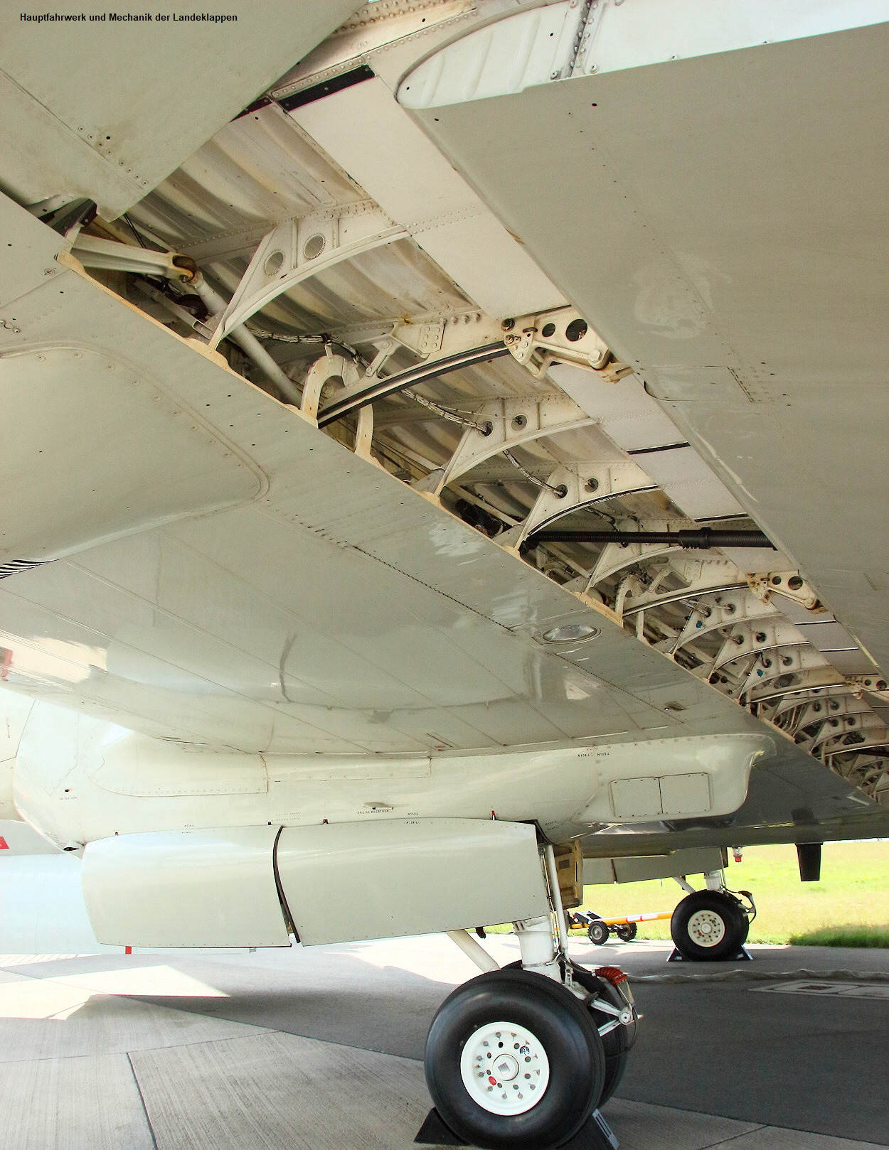 Lockheed P-3 Orion - Landeklappen
