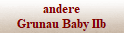 Grunau Baby IIb