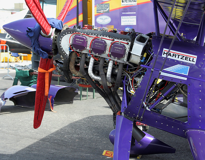 Purple Violet - Motor