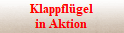 Klappflügel
in Aktion