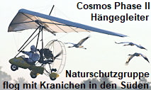 Cosmos Phase II - Flug mit Kranichen