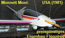 Monnett Moni: preisgünstiges Eigenbau-Flugzeug von 1981