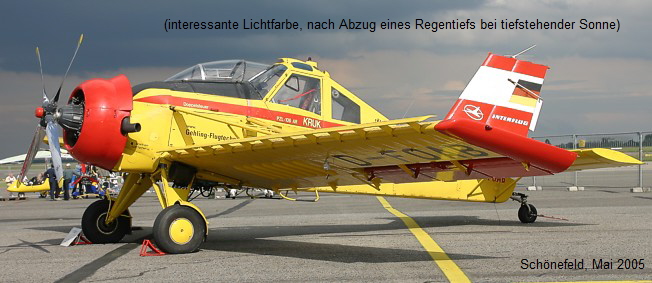 PZL “Kruk”