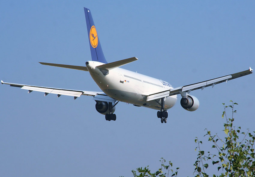 Airbus A 300-600: hier kamen erstmals kerosinsparende "Wingtip" an den Enden der Tragflächen zum Einsatz
