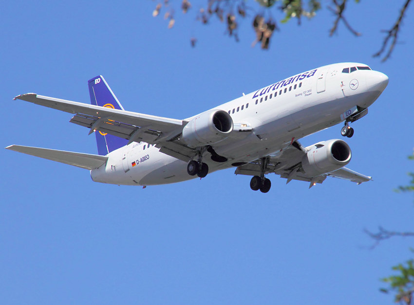 Boeing 737-300 - Bäume