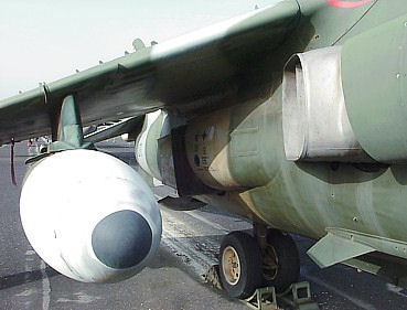 Harrier