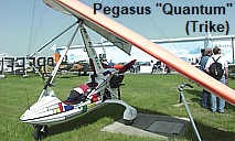 Pegasus “Quantum” - Trike 