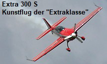 Extra 300 S