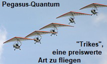 Pegasus-Quantum