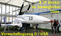 X 31 Vector