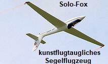 Solo-Fox - Kunstflug