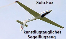 Solo-Fox - Kunstflug