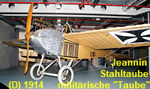 Jeannin Stahltaube