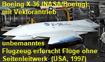 Boeing X-36 (NASA/Boeing): unbemanntes Flugzeug erforscht Flüge ohne Seitenleitwerk