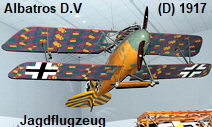 Albatros D.V: Jagdflugzeug der deutschen Luftstreitkräfte im Ersten Weltkrieg