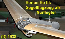 Horten Ho III: Segelflugzeug als Nurflügler von 1938