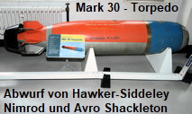 Mark 30 - Torpedo