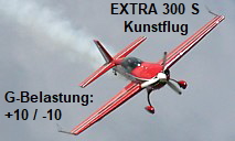 EXTRA 300  S