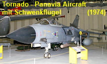 Tornado - Panavia Aircraft: Gemeinschaftsprojekt mit Schwenkflügel seit 1979