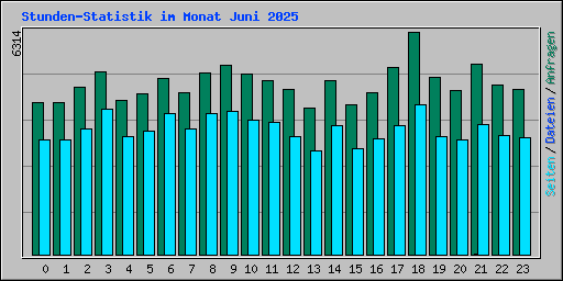 Stunden-Statistik im Monat Juni 2025