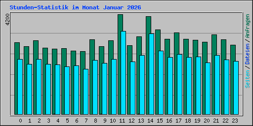 Stunden-Statistik im Monat Januar 2026