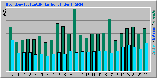 Stunden-Statistik im Monat Juni 2026