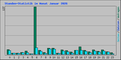 Stunden-Statistik im Monat Januar 2026