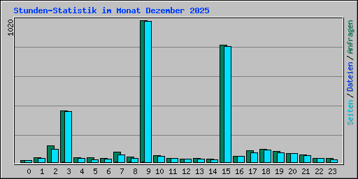 Stunden-Statistik im Monat Dezember 2025