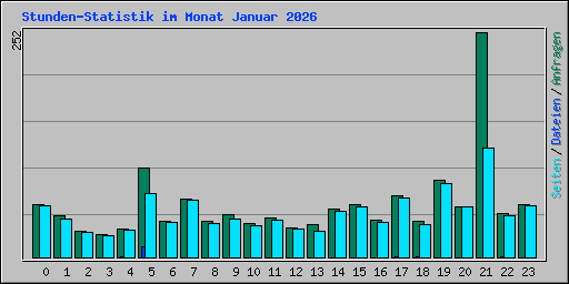 Stunden-Statistik im Monat Januar 2026