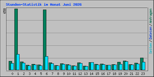 Stunden-Statistik im Monat Juni 2026
