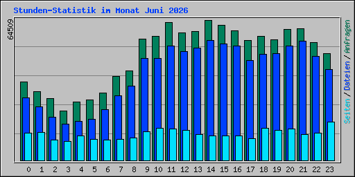 Stunden-Statistik im Monat Juni 2026